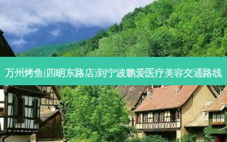 万州烤鱼(四明东路店)到宁波鹏爱医疗美容交通路线