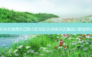 普阳洗浴(东北地理所辽阳小区东区店)到南关区滕晶口腔诊所公交路线