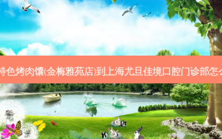 新疆特色烤肉馕(金梅雅苑店)到上海尤旦佳境口腔门诊部怎么走？