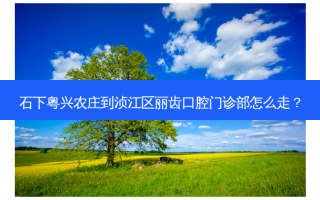 石下粤兴农庄到浈江区丽齿口腔门诊部怎么走？