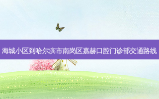 海城小区到哈尔滨市南岗区嘉赫口腔门诊部交通路线
