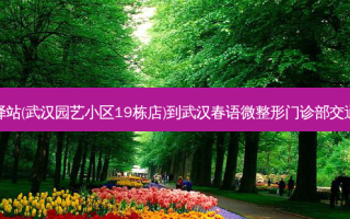 菜鸟驿站(武汉园艺小区19栋店)到武汉春语微整形门诊部交通路线