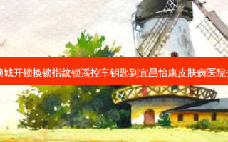 向师傅锁城开锁换锁指纹锁遥控车钥匙到宜昌怡康皮肤病医院交通路线