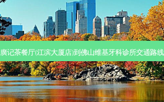 廣记茶餐厅(江滨大厦店)到佛山维基牙科诊所交通路线