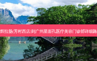 华辉拉肠(芳村西店)到广州星面孔医疗美容门诊部详细路线
