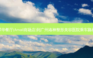 翠华餐厅(Amall商场店)到广州洛神整形美容医院乘车路线