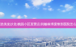 星艺坊美发沙龙(桃园小区直营店)到榆林博爱整形医院怎么走？