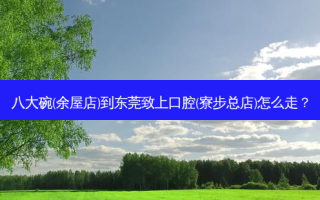 八大碗(余屋店)到东莞致上口腔(寮步总店)怎么走？