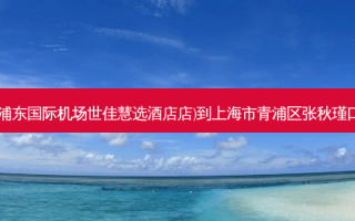 朴正昊韩式炸鸡(浦东国际机场世佳慧选酒店店)到上海市青浦区张秋瑾口腔诊所出行路线