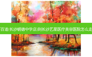 茶百道(长沙明德中学店)到长沙艺星医疗美容医院怎么走？