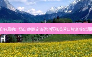 果乐多(易购广场店)到保定市莲池区张美芳口腔诊所交通路线