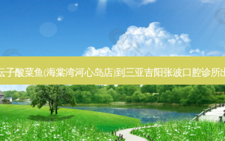 太二老坛子酸菜鱼(海棠湾河心岛店)到三亚吉阳张波口腔诊所出行路线