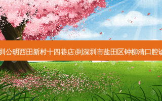 菜鸟驿站(深圳公明西田新村十四巷店)到深圳市盐田区钟柳清口腔诊所交通路线