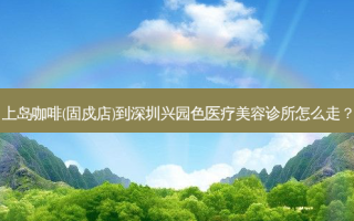 上岛咖啡(固戍店)到深圳兴园色医疗美容诊所怎么走？
