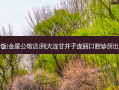 米村拌饭(金星公馆店)到大连甘井子庞丽口腔诊所出行路线