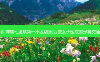 千里香(沣镐七里镇第一小区店)到西安女子医院整形科交通路线