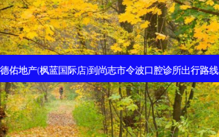 德佑地产(枫蓝国际店)到尚志市令波口腔诊所出行路线
