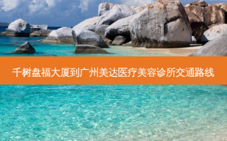 千树盘福大厦到广州美达医疗美容诊所交通路线