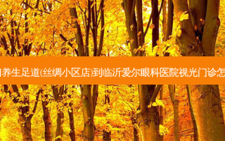 凯旋门养生足道(丝绸小区店)到临沂爱尔眼科医院视光门诊怎么走？