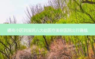 晒布小区到深圳八大处医疗美容医院出行路线