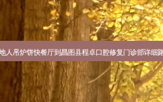 天地人吊炉饼快餐厅到昌图县程卓口腔修复门诊部详细路线