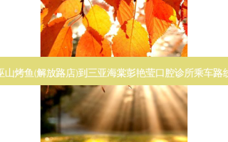 巫山烤鱼(解放路店)到三亚海棠彭艳莹口腔诊所乘车路线