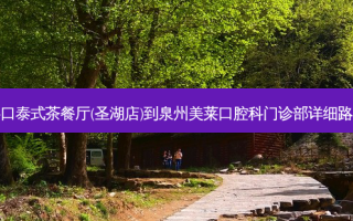 半口泰式茶餐厅(圣湖店)到泉州美莱口腔科门诊部详细路线