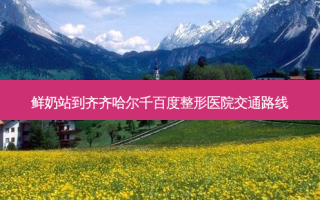 鲜奶站到齐齐哈尔千百度整形医院交通路线