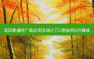 花田煮(盛世广场店)到宝鸡小丁口腔诊所出行路线