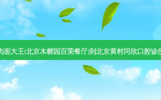 李先生牛肉面大王(北京木樨园百荣餐厅)到北京黄村同欣口腔诊所详细路线