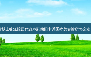 青城山味江陵园代办点到简阳卡秀医疗美容诊所怎么走？