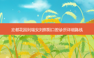 宏都花园到瑞安刘辉阳口腔诊所详细路线