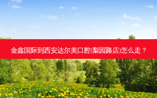 金鑫国际到西安达尔美口腔(梨园路店)怎么走？