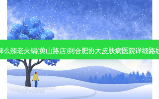 辣么辣老火锅(黄山路店)到合肥协大皮肤病医院详细路线