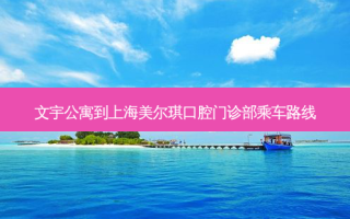 文宇公寓到上海美尔琪口腔门诊部乘车路线