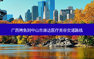 广西烤鱼到中山市康达医疗美容交通路线