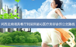 河西走廊清真餐厅到深圳姿沁医疗美容诊所公交路线