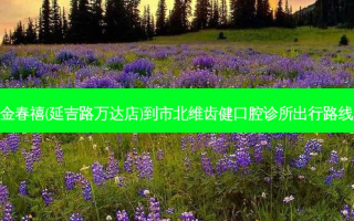 金春禧(延吉路万达店)到市北维齿健口腔诊所出行路线