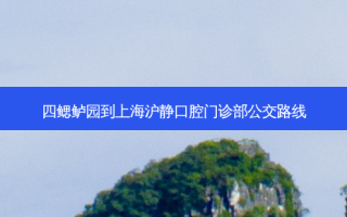 四鳃鲈园到上海沪静口腔门诊部公交路线