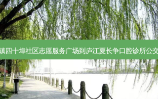 上派镇四十埠社区志愿服务广场到庐江夏长争口腔诊所公交路线