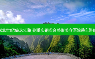 斌鑫世纪城(珠江路)到重庆铜雀台整形美容医院乘车路线