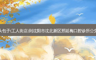 沈老头包子(工人街店)到沈阳市沈北新区邢延梅口腔诊所公交路线