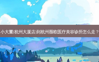 小大董(杭州大厦店)到杭州薇欧医疗美容诊所怎么走？
