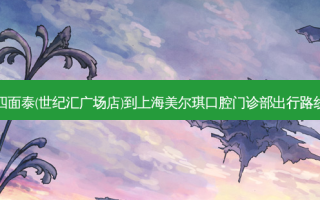 四面泰(世纪汇广场店)到上海美尔琪口腔门诊部出行路线