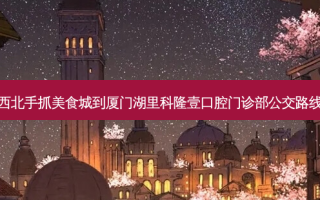 西北手抓美食城到厦门湖里科隆壹口腔门诊部公交路线