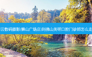 彩云数码摄影(狮山广场店)到佛山美呀口腔门诊部怎么走？