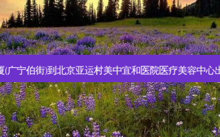 金泽大厦(广宁伯街)到北京亚运村美中宜和医院医疗美容中心出行路线