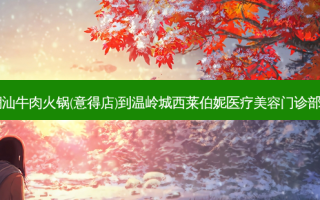 牛很鲜潮汕牛肉火锅(意得店)到温岭城西莱伯妮医疗美容门诊部怎么走？