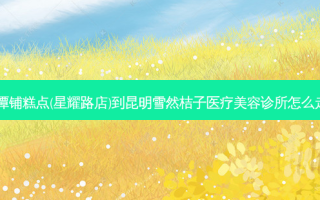 河潭铺糕点(星耀路店)到昆明雪然桔子医疗美容诊所怎么走？