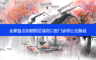 金紫饭店到朝阳区瑞雨口腔门诊部公交路线